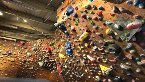 群馬県のクライミング施設「クライミングジム WHITE ROCK（ホワイトロック）」